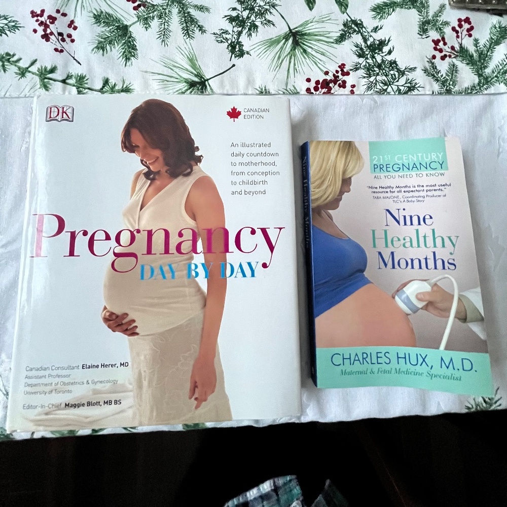Like New! 2 'Pregnancy' Books